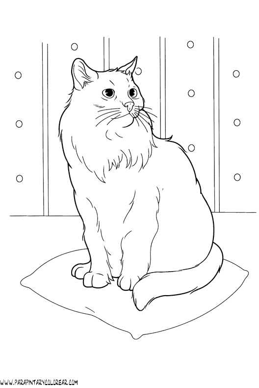 dibujos-de-gatos-225.gif