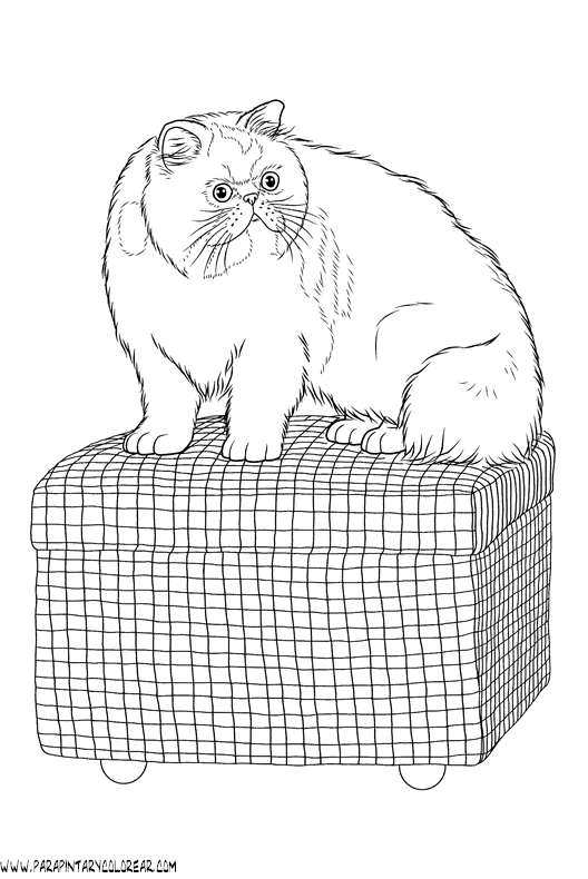 dibujos-de-gatos-227.gif