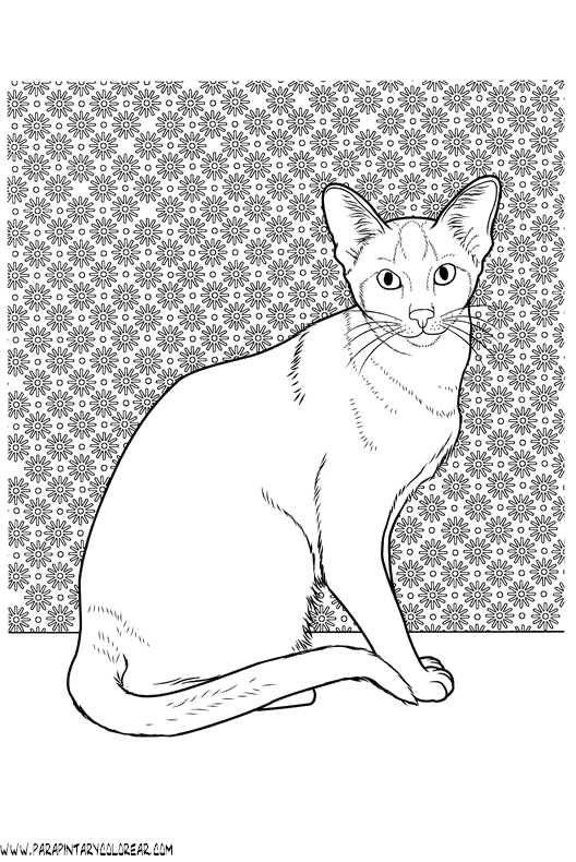 dibujos-de-gatos-228.gif