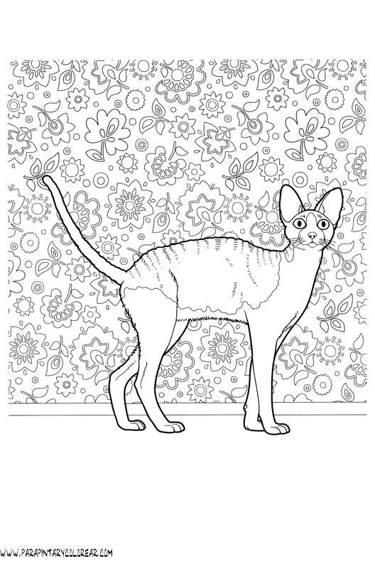 dibujos-de-gatos-233.gif