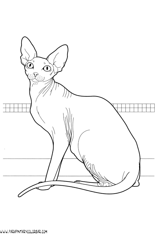 dibujos-de-gatos-235.gif