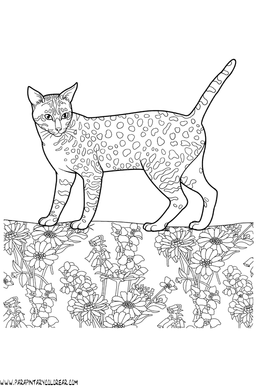 dibujos-de-gatos-236.gif