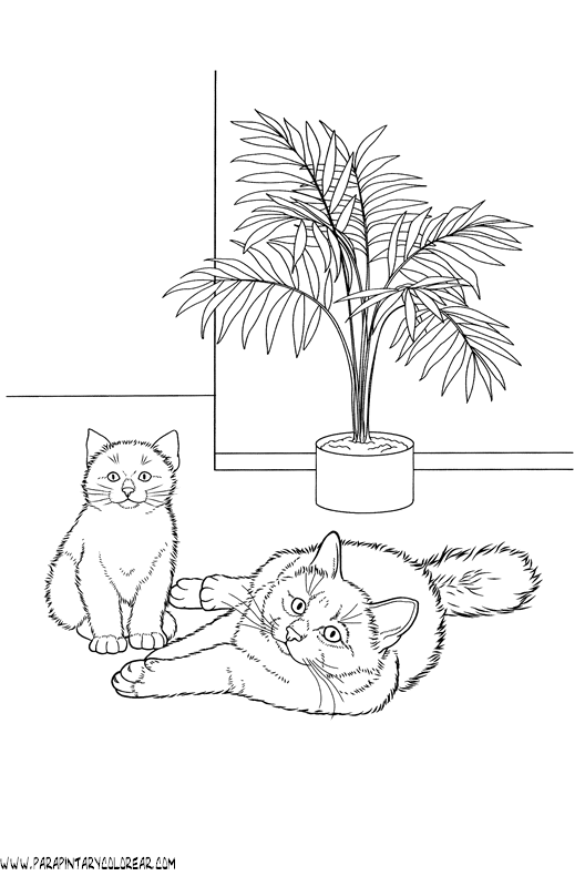 dibujos-de-gatos-241.gif