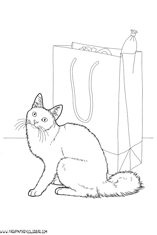 dibujos-de-gatos-242.gif