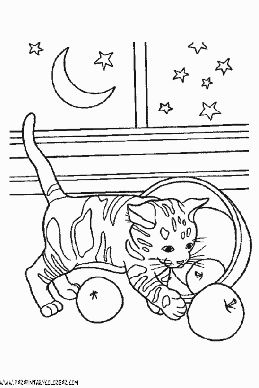 dibujos-de-gatos-262.gif