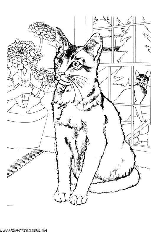 dibujos-de-gatos-268.gif