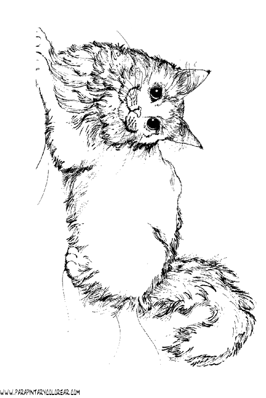dibujos-de-gatos-271.gif