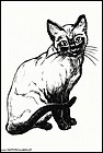 dibujos-de-gatos-072.gif