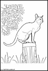 dibujos-de-gatos-222.gif