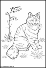 dibujos-de-gatos-229.gif