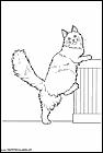 dibujos-de-gatos-230.gif
