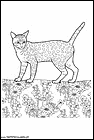 dibujos-de-gatos-236.gif