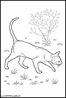 dibujos-de-gatos-239.gif