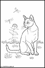 dibujos-de-gatos-240.gif
