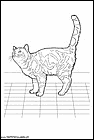 dibujos-de-gatos-243.gif