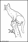 dibujos-de-gatos-244.gif