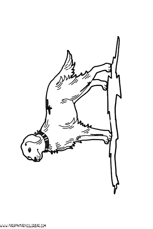 dibujos-de-perros-06.gif