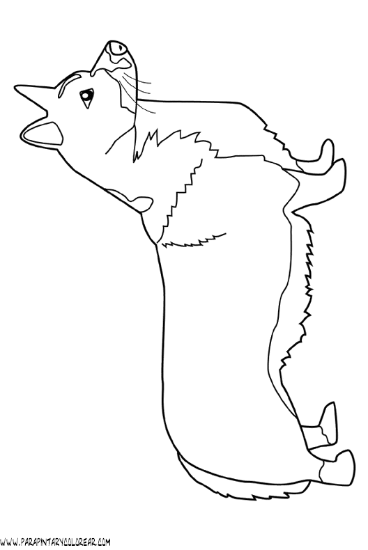 dibujos-de-perros-101.gif