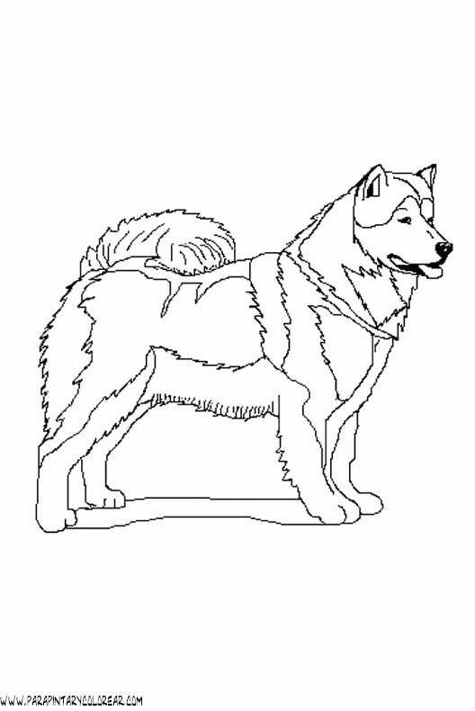 dibujos-de-perros-104.gif