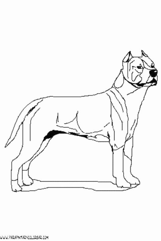 dibujos-de-perros-106.gif