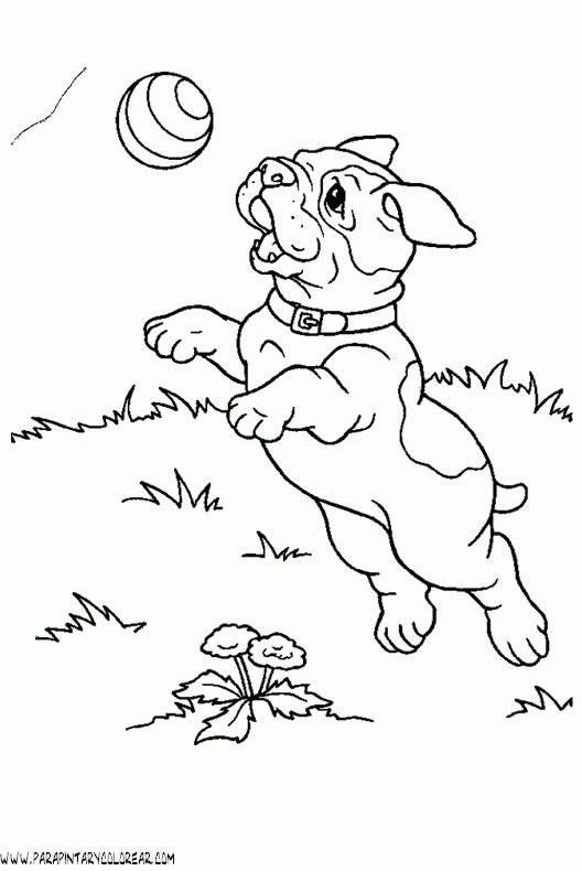 dibujos-de-perros-147.gif
