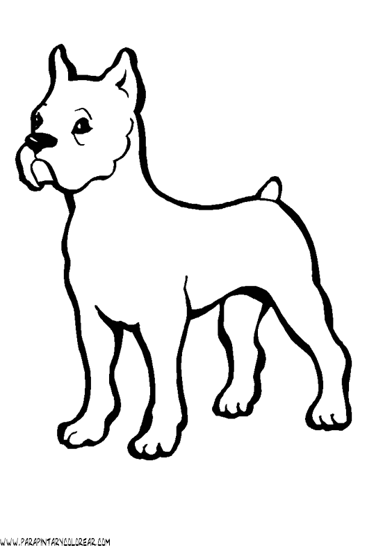 dibujos-de-perros-185