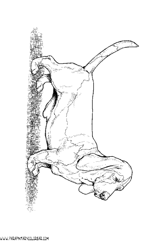 dibujos-de-perros-195.gif