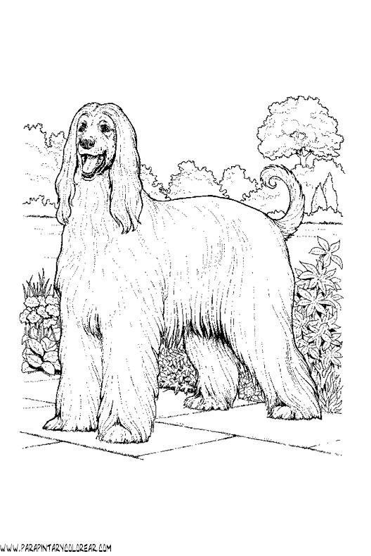 dibujos-de-perros-196.gif