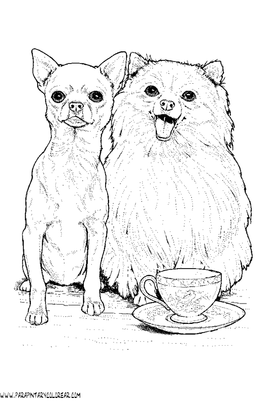 dibujos-de-perros-197.gif