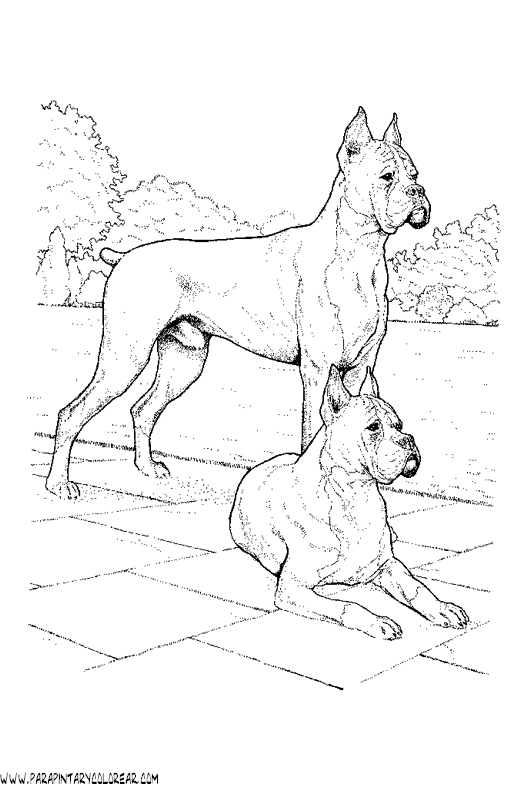 dibujos-de-perros-198.gif
