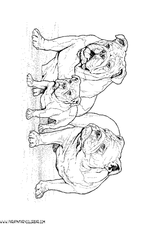 dibujos-de-perros-199.gif