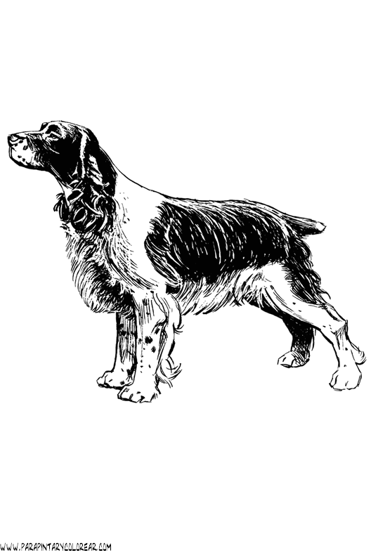 dibujos-de-perros-204.gif