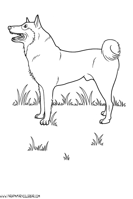 dibujos-de-perros-209.gif