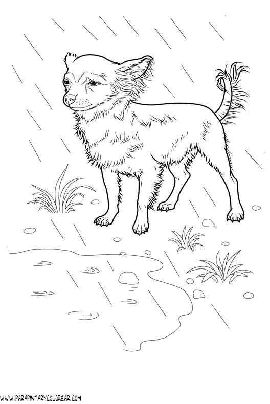 dibujos-de-perros-213.gif