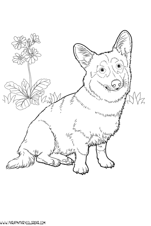 dibujos-de-perros-214.gif