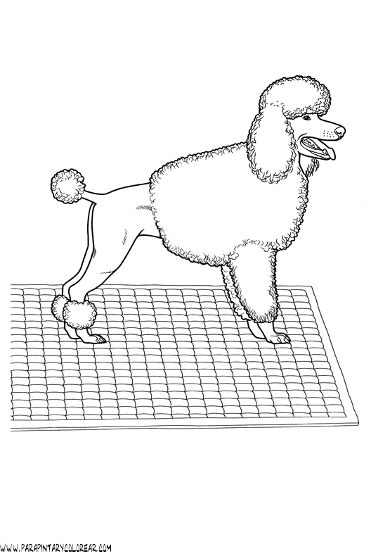 dibujos-de-perros-215.gif