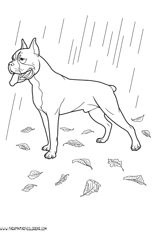 dibujos-de-perros-218.gif