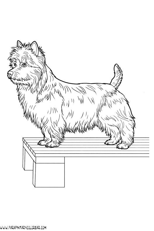 dibujos-de-perros-221.gif