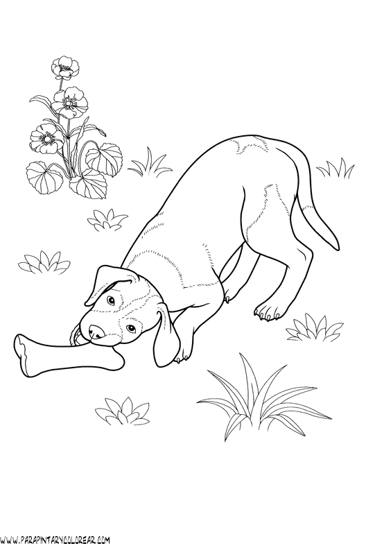 dibujos-de-perros-223.gif