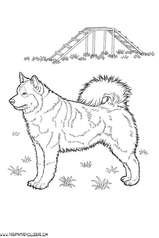 dibujos-de-perros-224.gif
