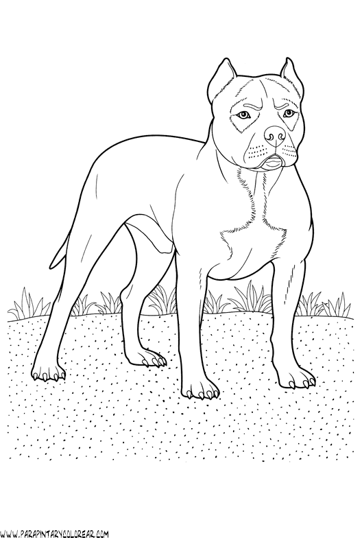 dibujos-de-perros-227.gif