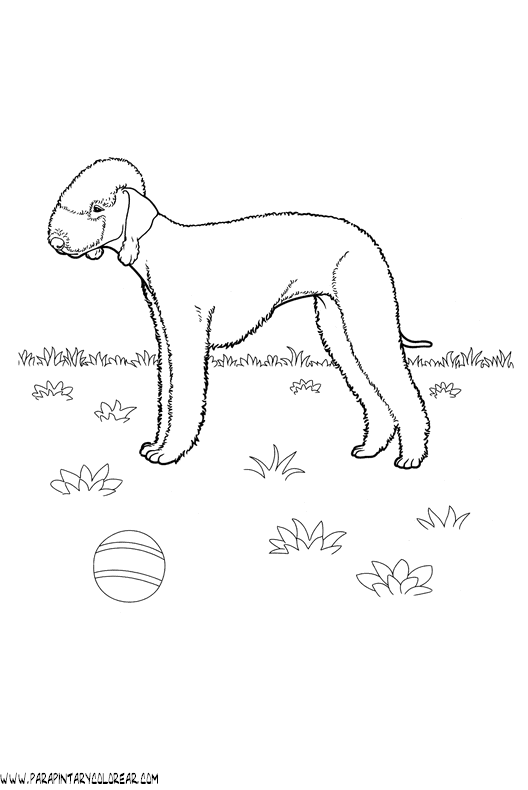 dibujos-de-perros-229.gif