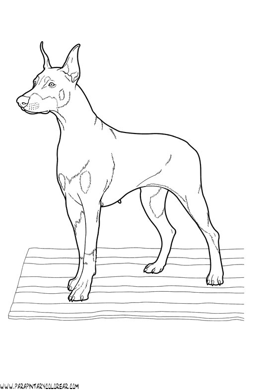dibujos-de-perros-230.gif