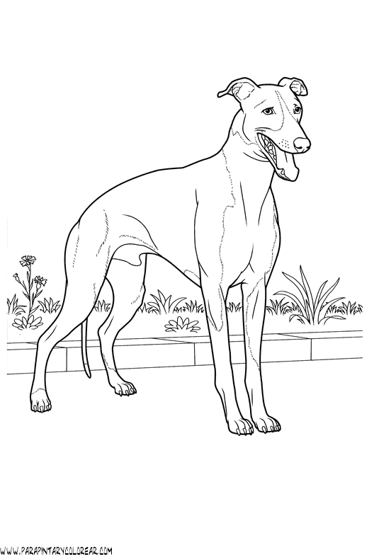 dibujos-de-perros-233.gif