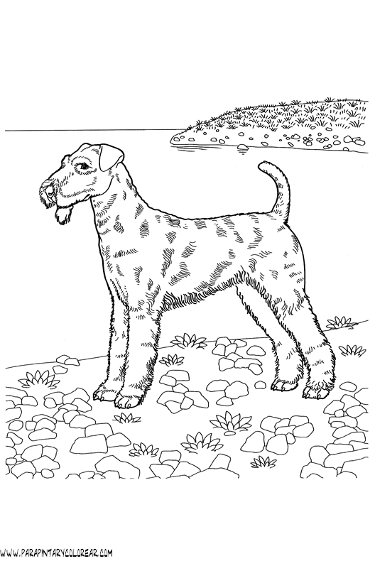 dibujos-de-perros-237.gif