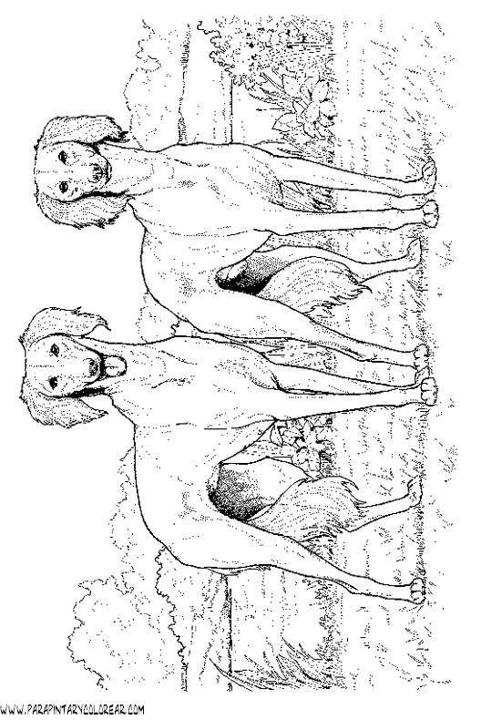 dibujos-de-perros-32.gif