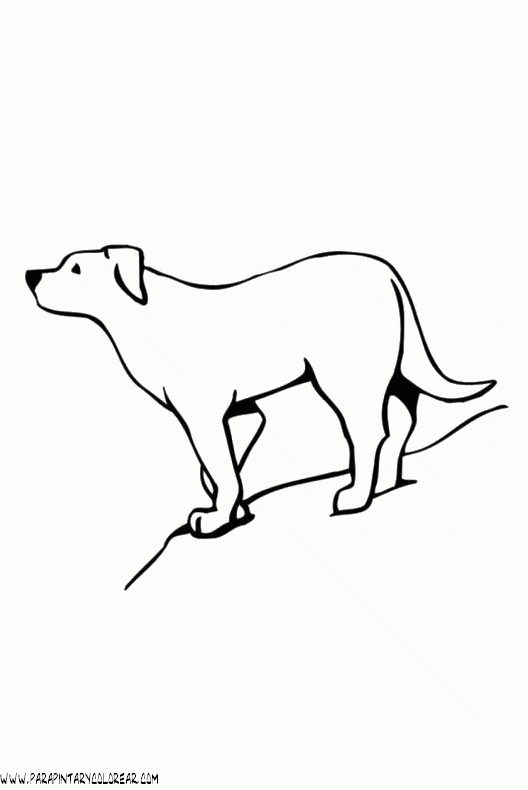 dibujos-de-perros-68.gif