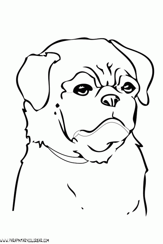 dibujos-de-perros-88.gif