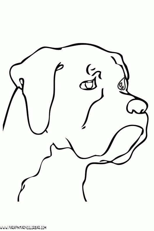 dibujos-de-perros-89.gif