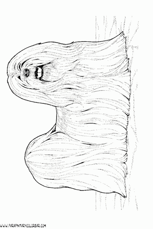 dibujos-de-perros-92.gif